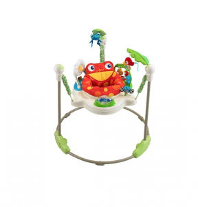Bouncy Seat Rental in 30A and Destin, Florida